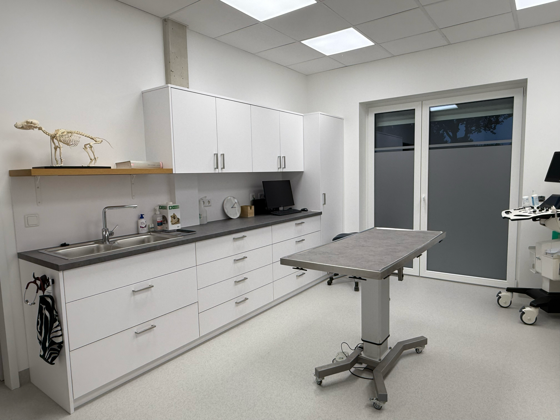 Tierarzt-Untersuchungsraum mit Edelstahltisch, Schränken, Waschbecken und einem Skelett auf einem Regal.