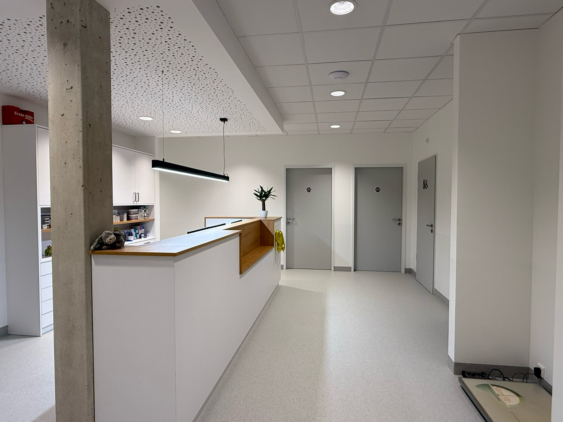 Moderner Empfangsbereich einer Klinik mit weißen Wänden, Türen und einem Empfangstresen.