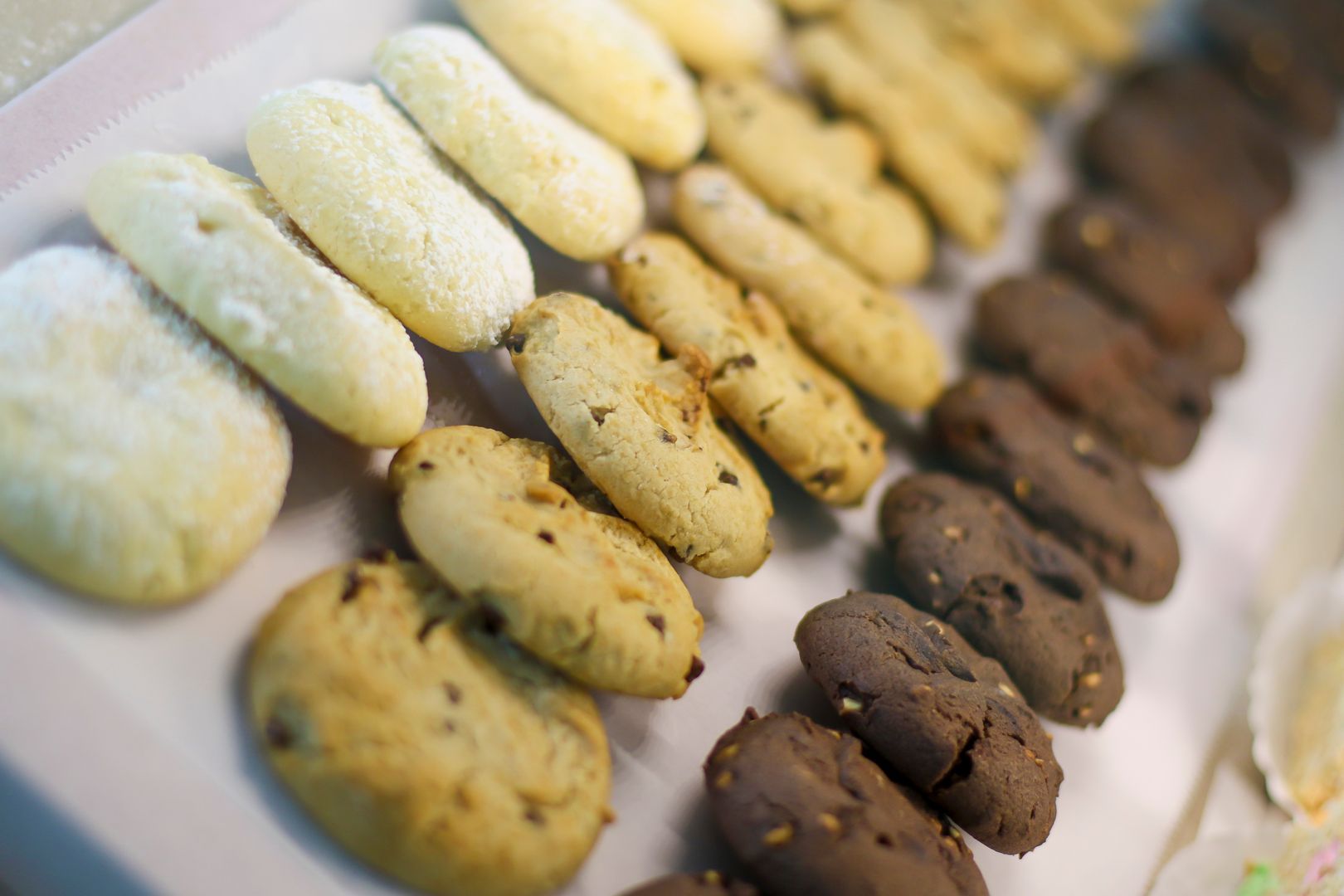 Cookies arranged in rows on display, varying in color from light to dark, some with chocolate chips.