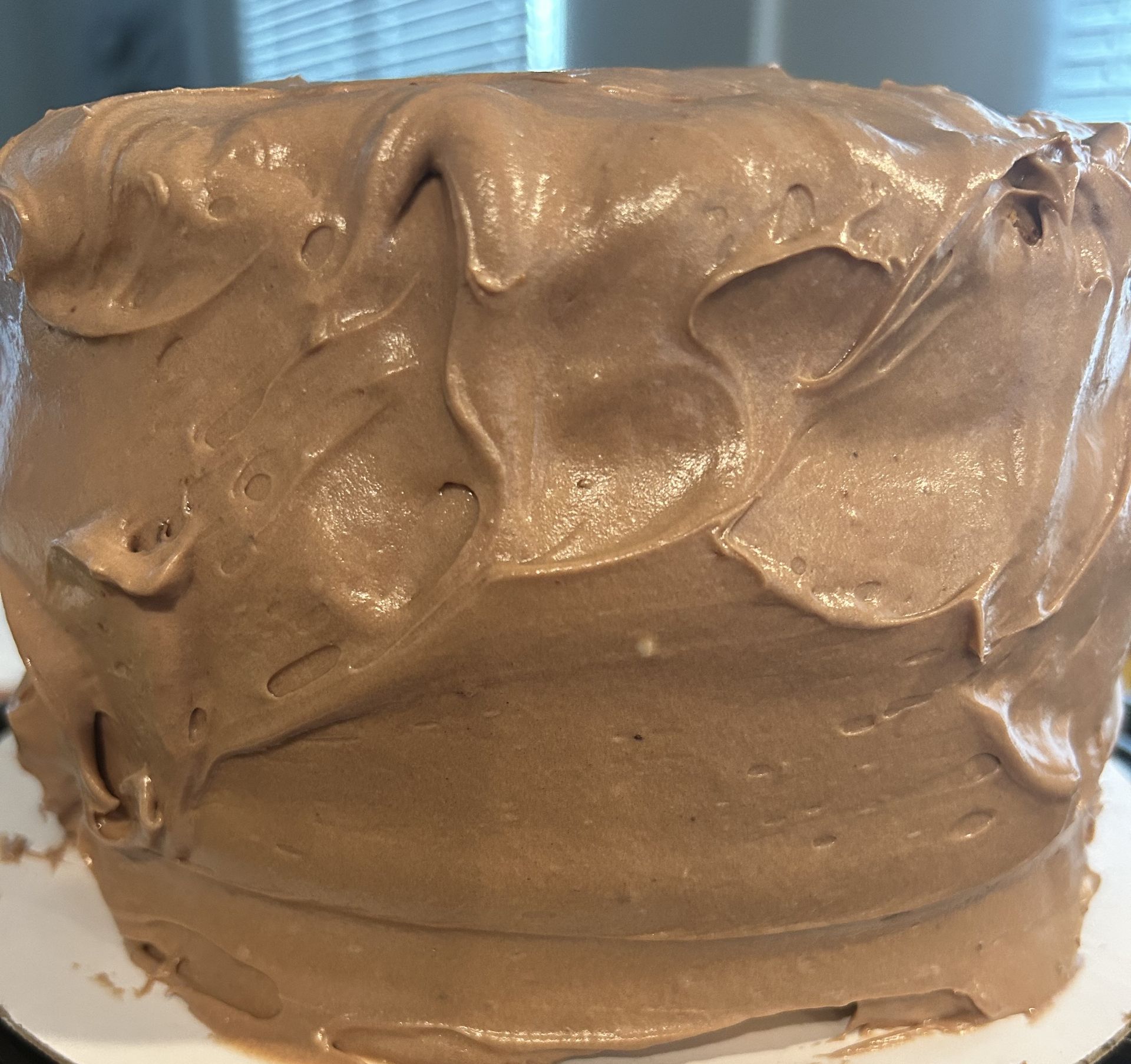 Chocolate frosted cake.