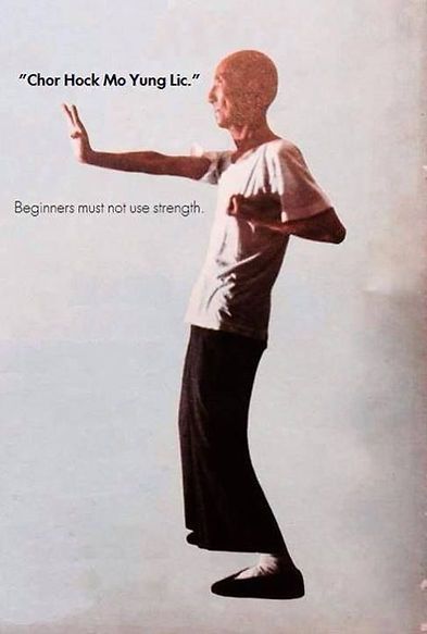 A man in a white shirt and black pants is practicing martial arts
