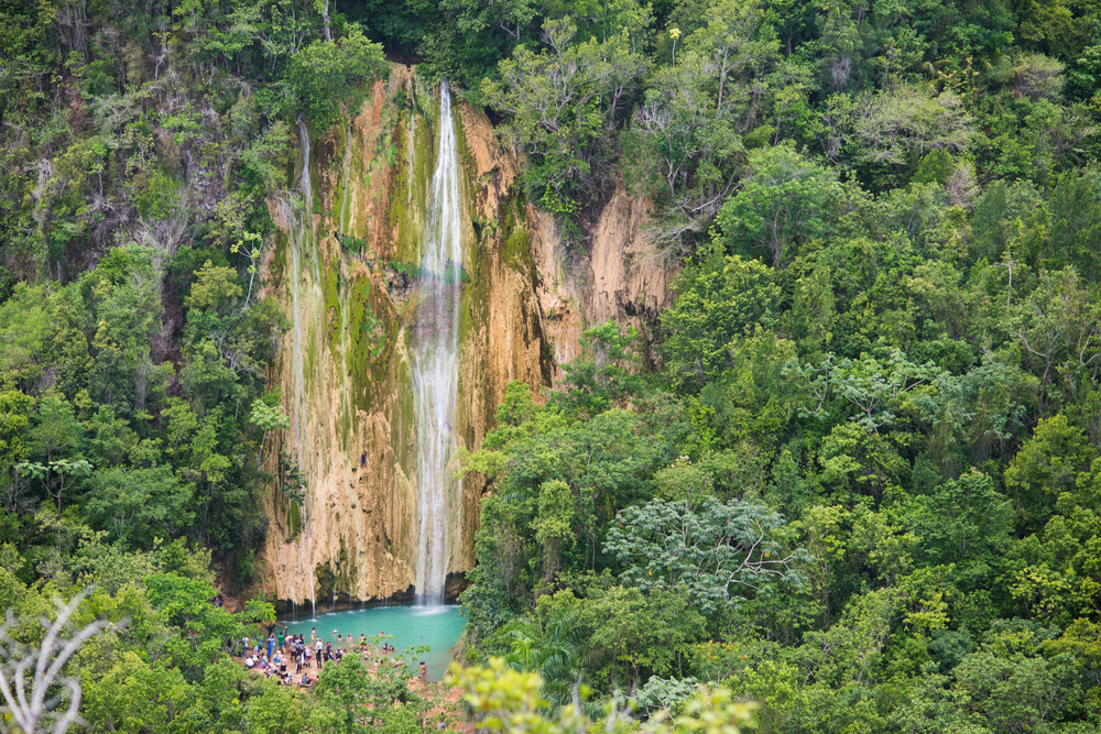 A waterfall in the middle of a lush green forest surrounded by trees.