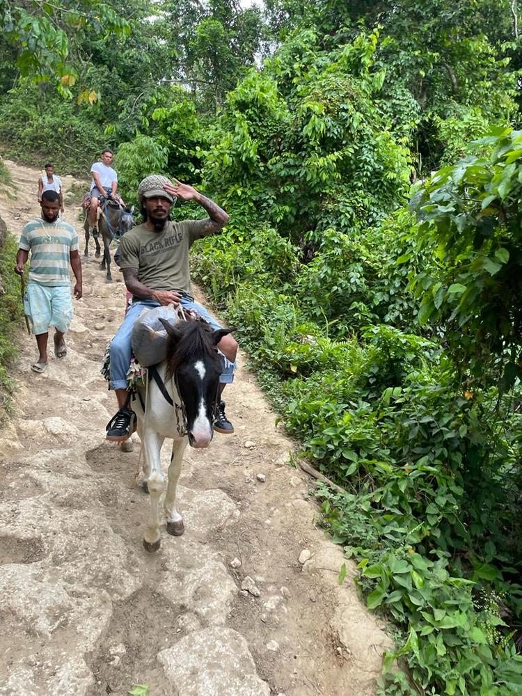 A man is riding a donkey down a dirt path.