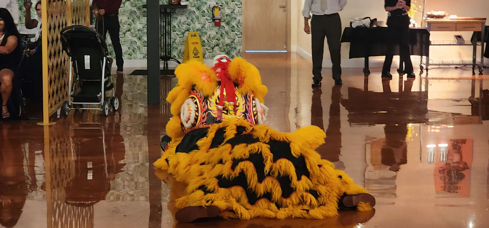 A lion costume is sitting on the floor in a hallway.