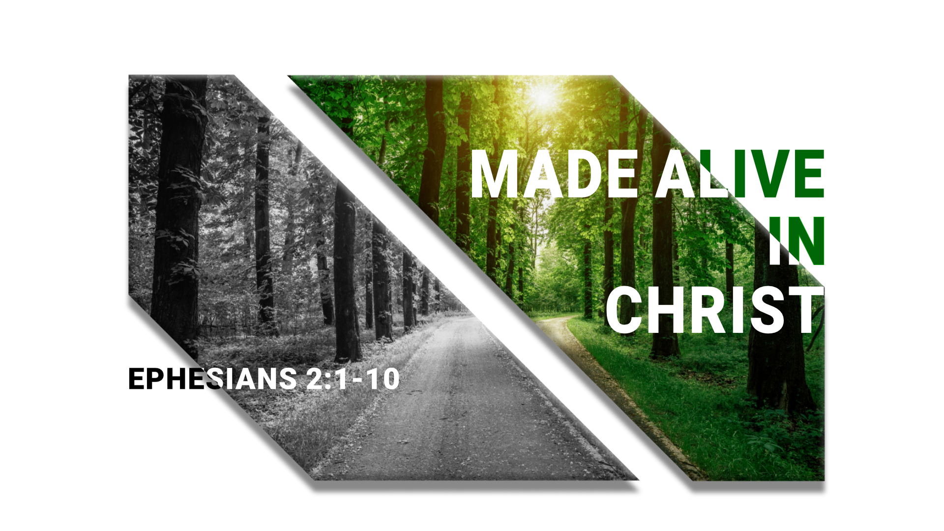 Made Alive with Christ: Ephesians 2:1-10 (Single Teaching)