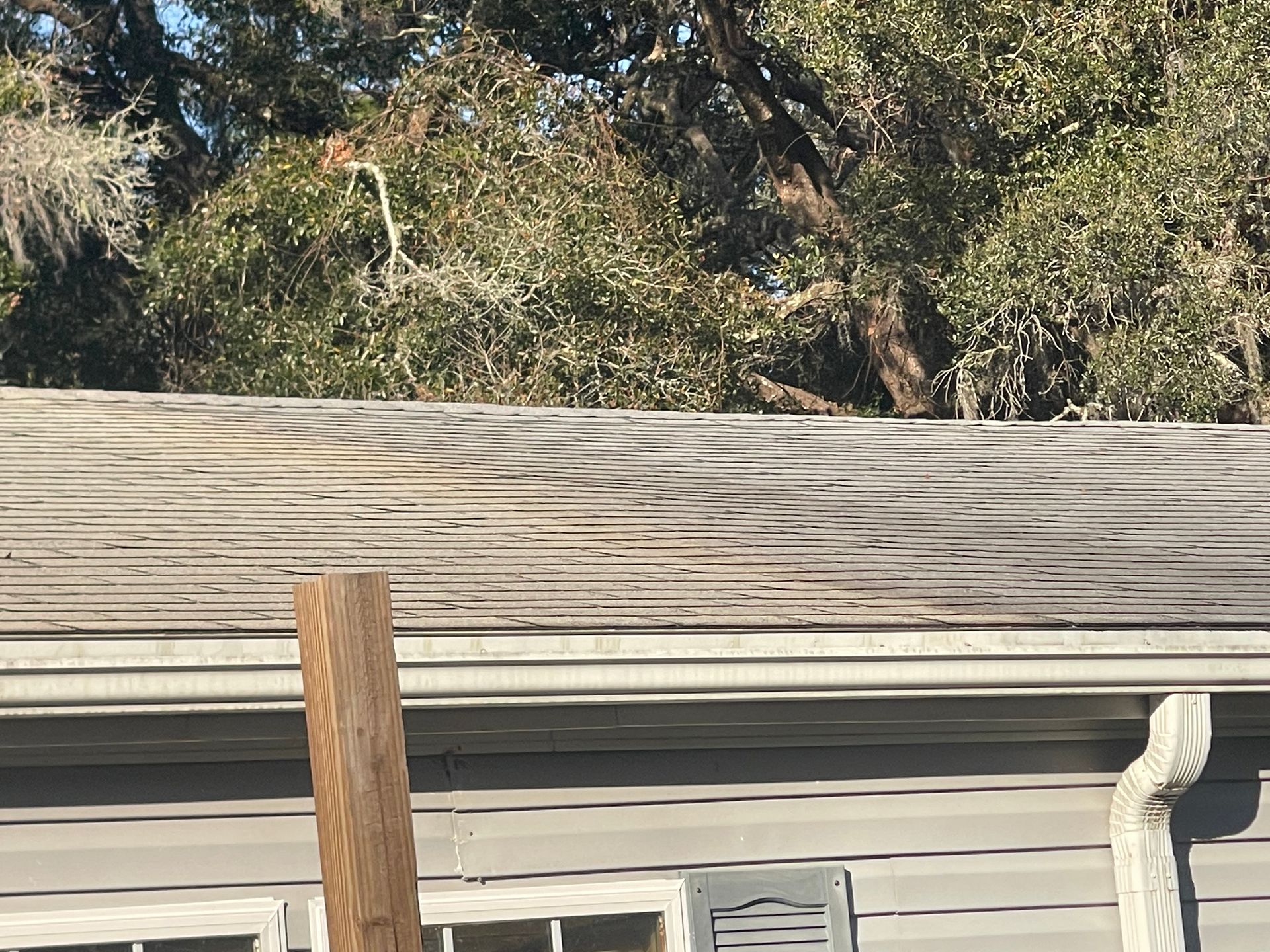 Roof Washing — Hernando, FL — RLS Home Services