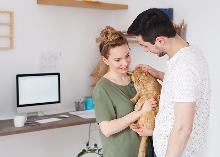 Boarding — Young Beautiful Family Loves Her Pet In Tulsa OK
