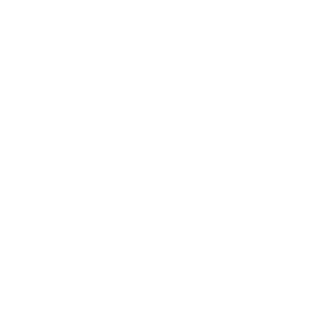 U.S  AIR FORCE Logo