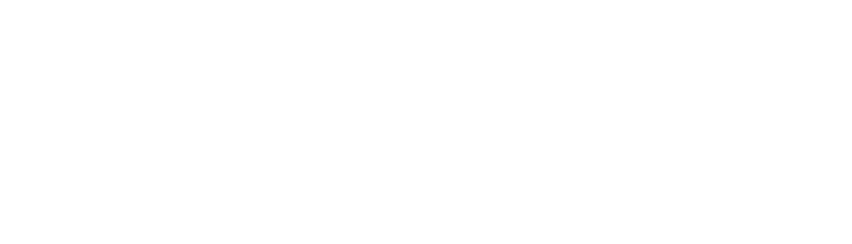 Joola