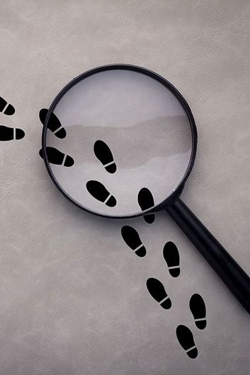 KINESICA INVESTIGACIONES