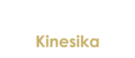 KINESICA INVESTIGACIONES