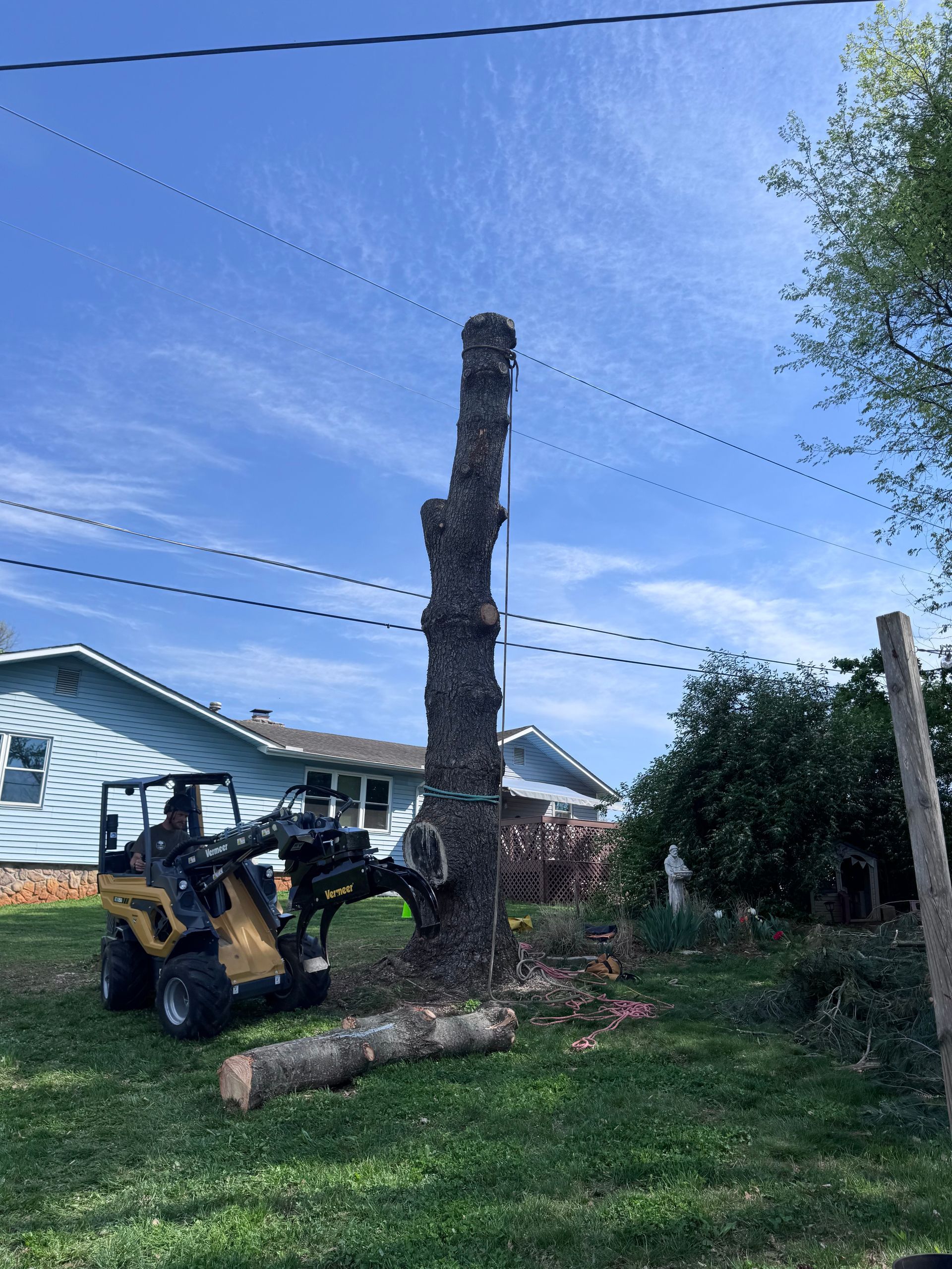 A forklift is cutting a tree stump in a yard.