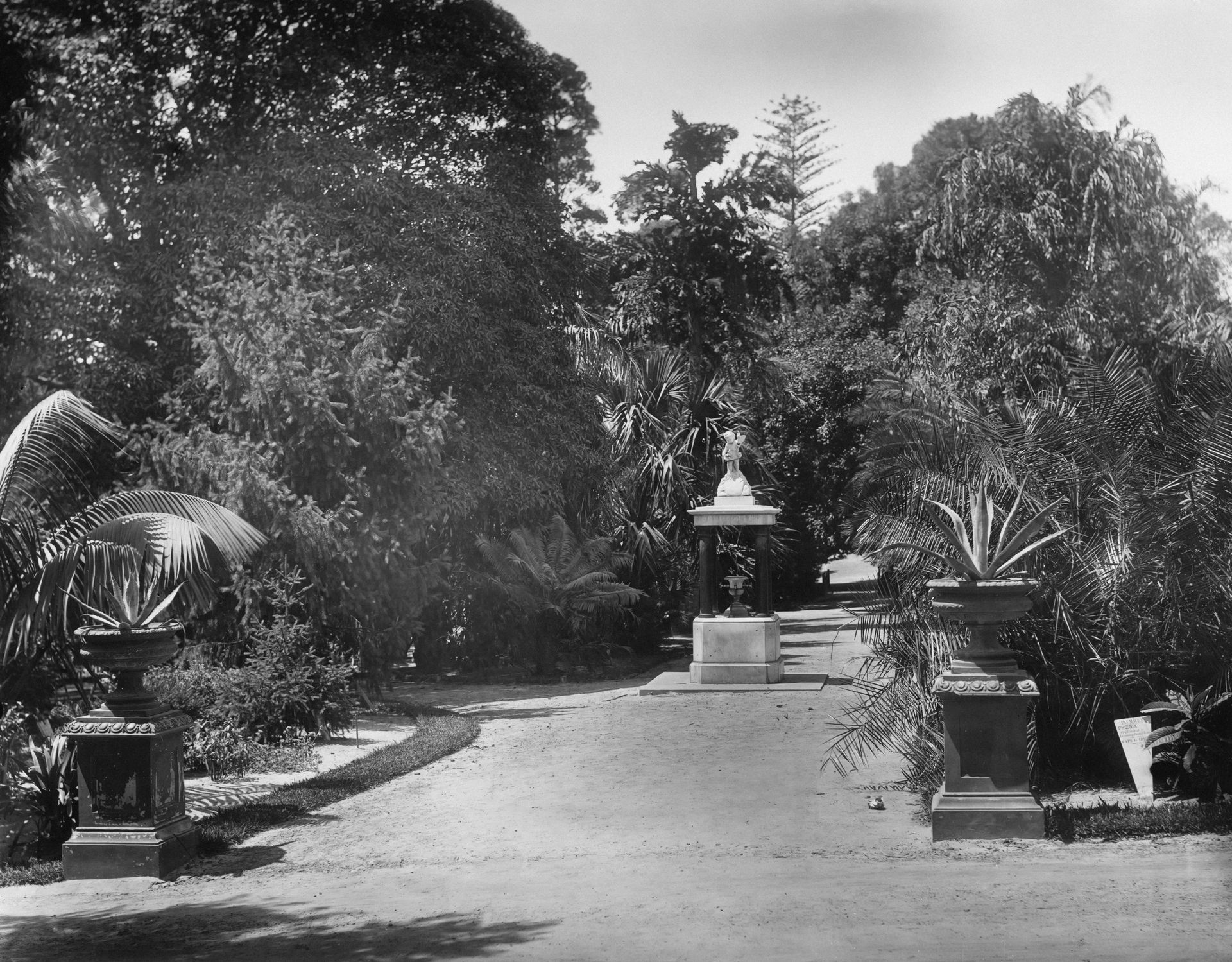 An old photograph of Borobudur Temple overgrown with foliage