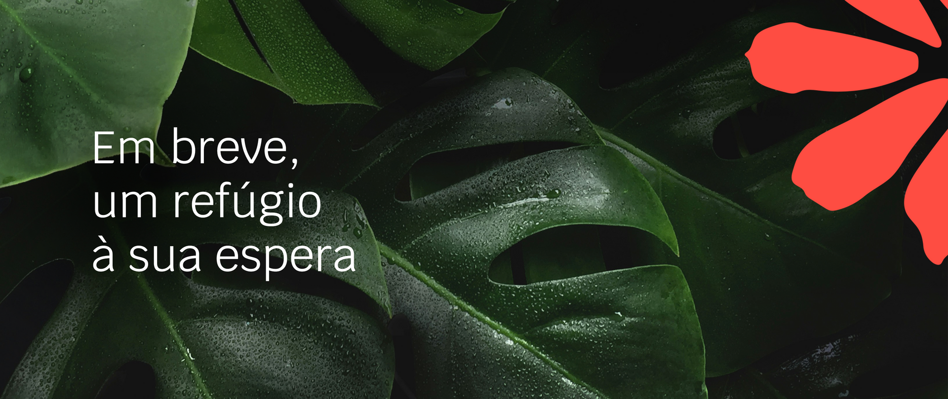 Floresta PRC empreendimentos