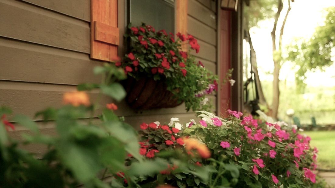 A house with flowers on the side of it and a window.