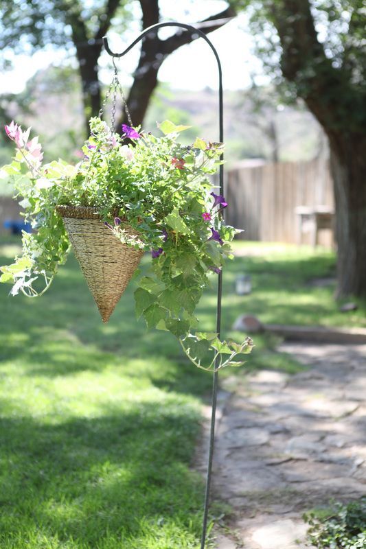 A hanging basket filled with flowers is hanging from a metal pole.
