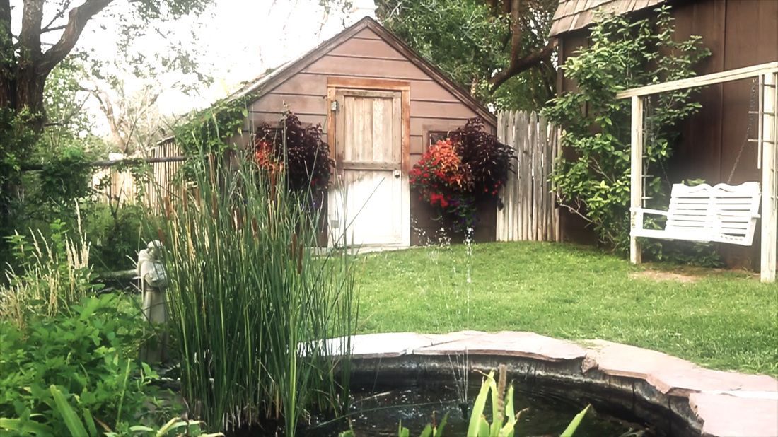 A pond in a backyard next to a shed and a swing.