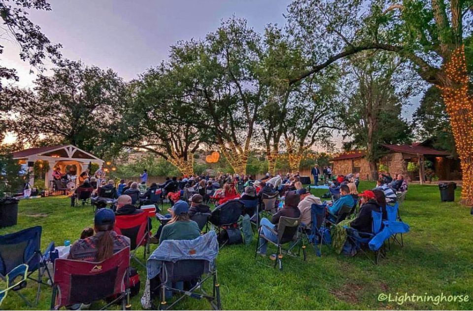 A large group of people are sitting in chairs in a park watching a concert.