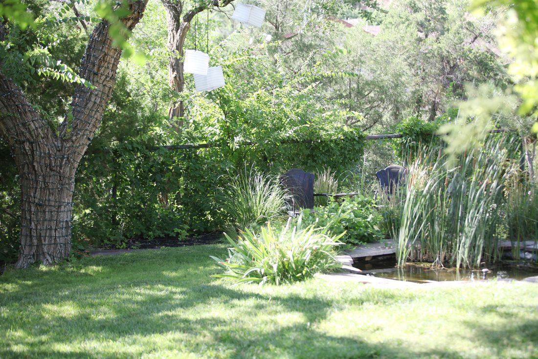 There is a pond in the middle of the garden surrounded by trees.