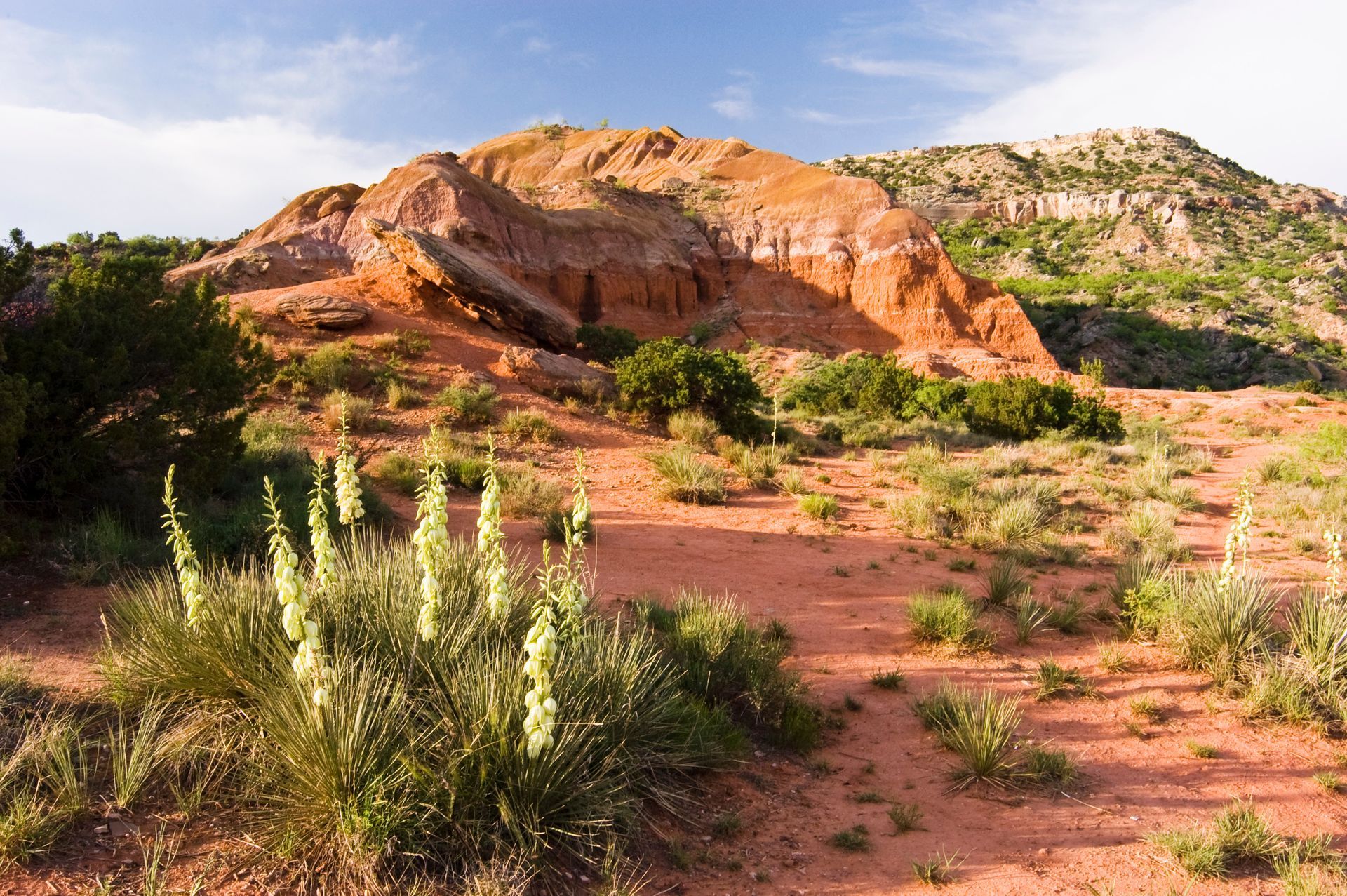 A desert landscape with a mountain in the background