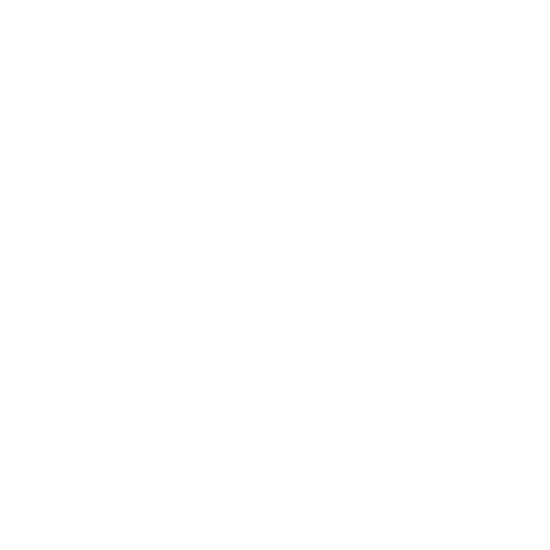 Google Icon