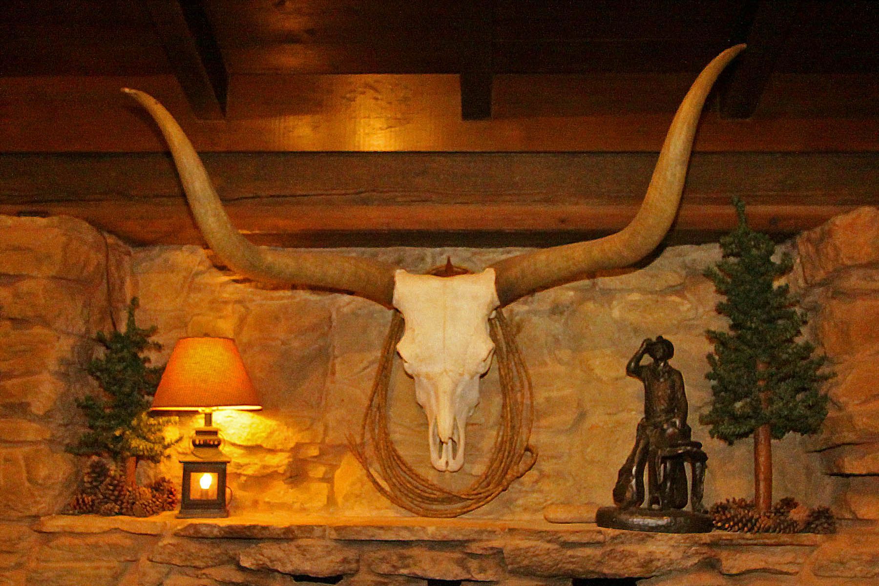 A longhorn skull is hanging on a stone wall