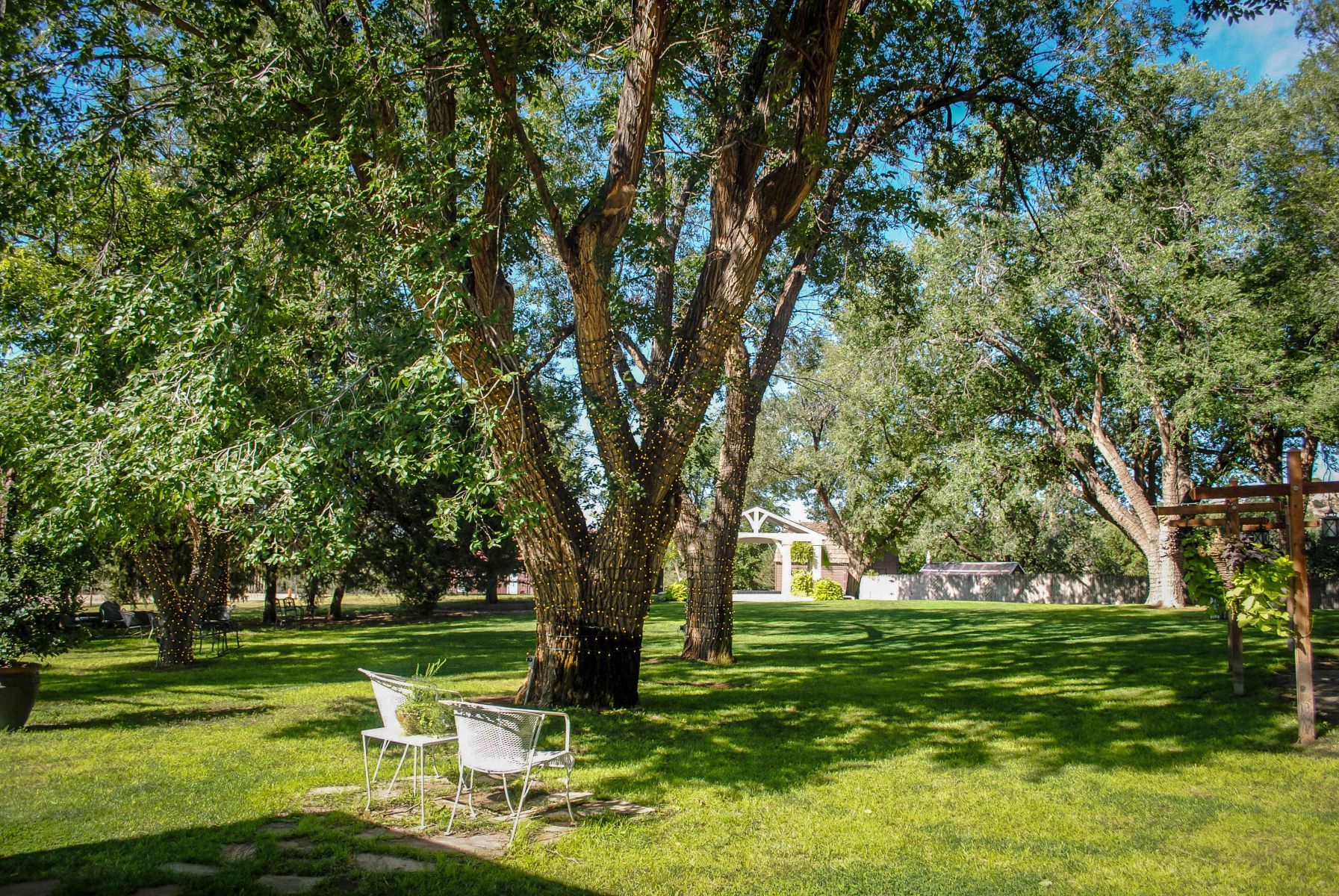 There are two chairs and a table under a tree in the middle of a lush green field.