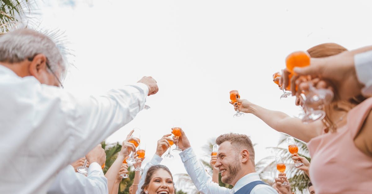 A group of people are toasting with champagne glasses at a wedding.