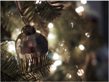 A christmas ornament is hanging from a tree branch