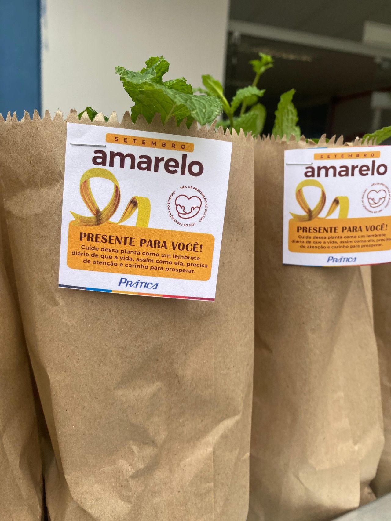 Duas sacolas marrons com uma etiqueta que diz amarelo