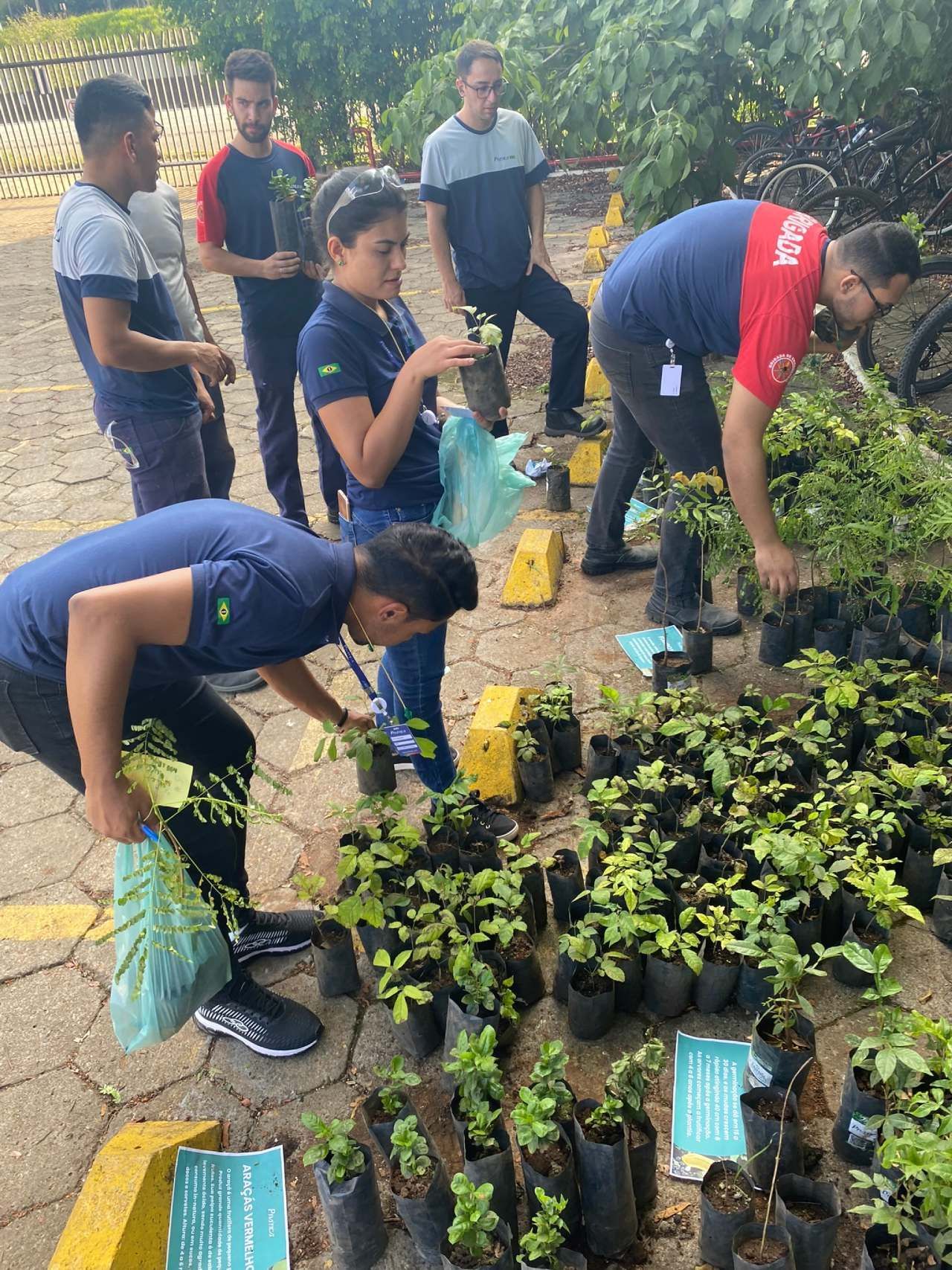 Um grupo de pessoas está em pé ao redor de uma pilha de plantas em vasos.