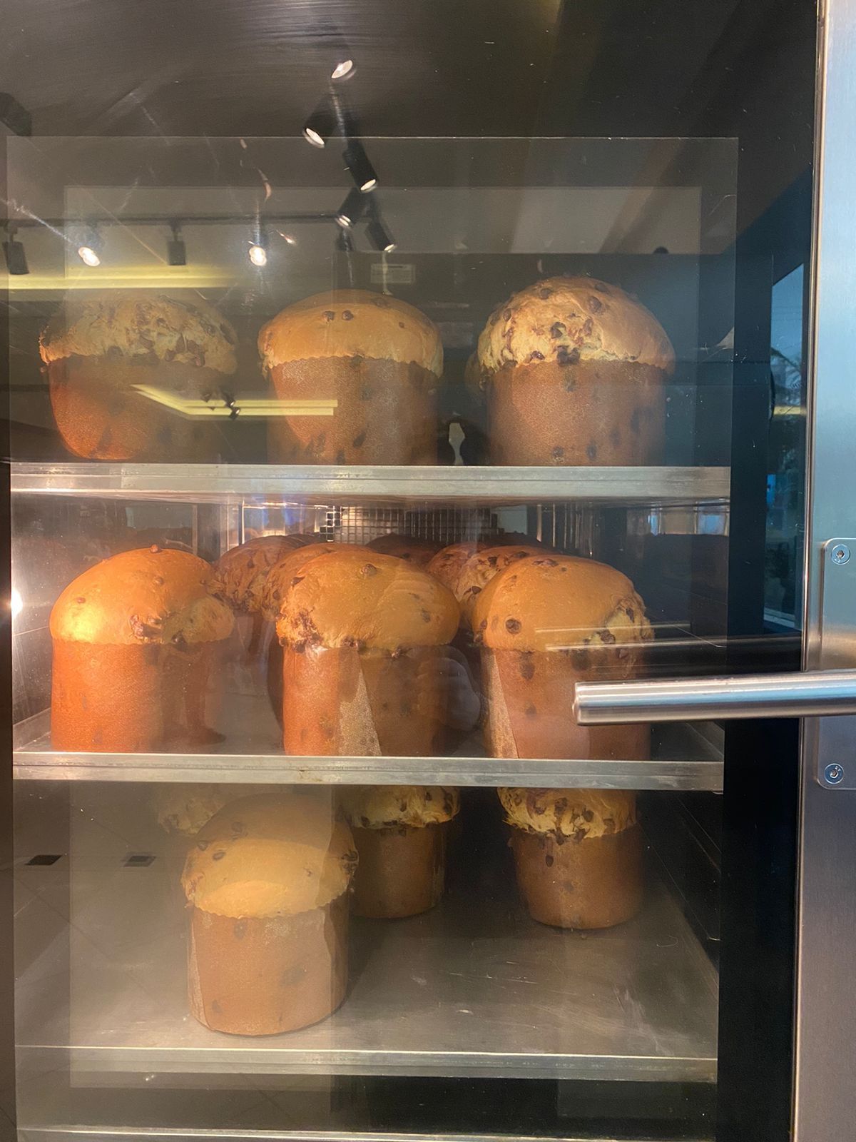 Um monte de muffins estão em uma prateleira dentro do forno.