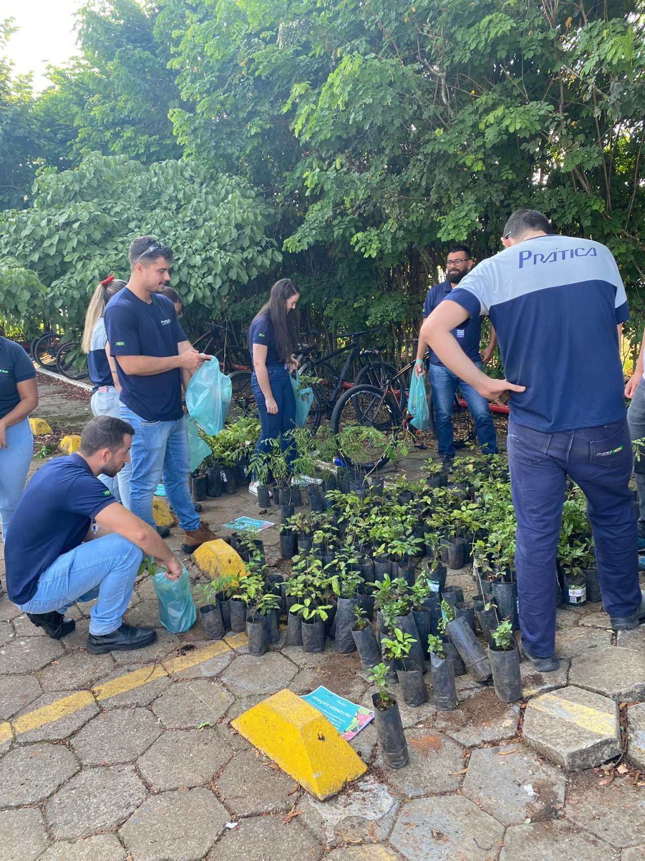 Um grupo de pessoas está em pé ao redor de uma pilha de plantas em vasos.