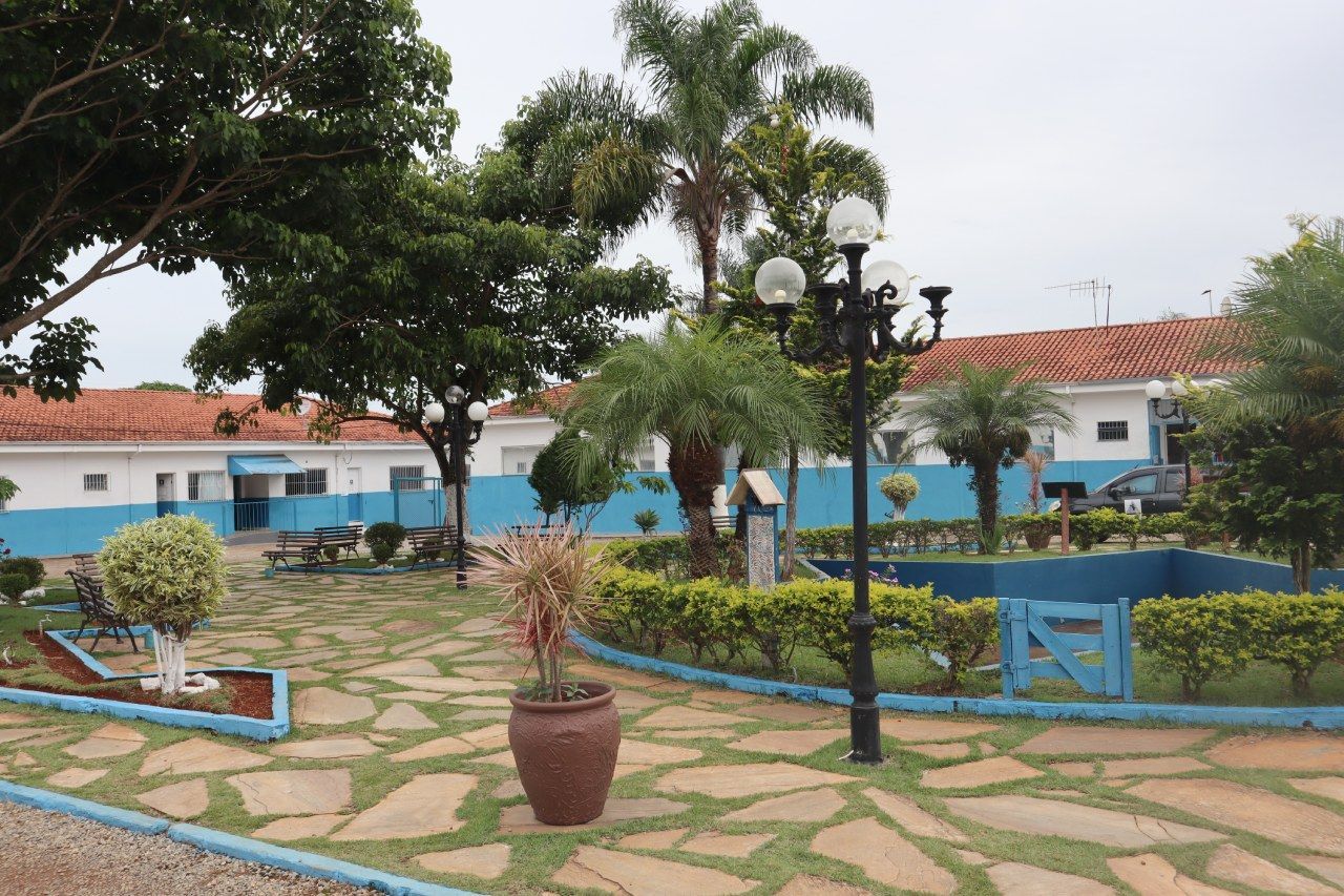 Um parque com muitas plantas e árvores em frente a um prédio