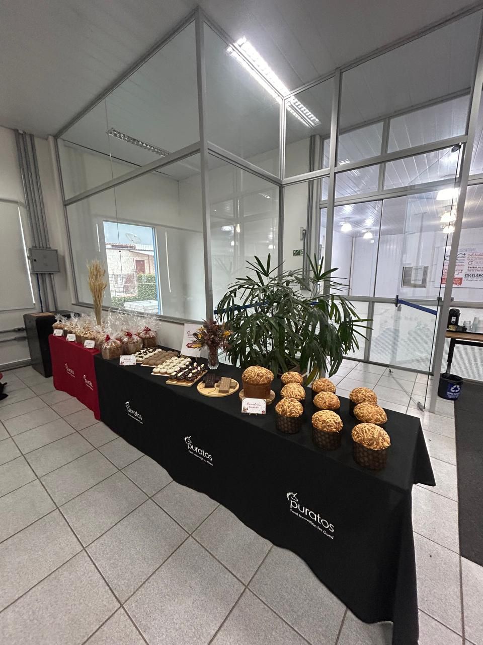 Uma mesa longa com muita comida em uma sala.