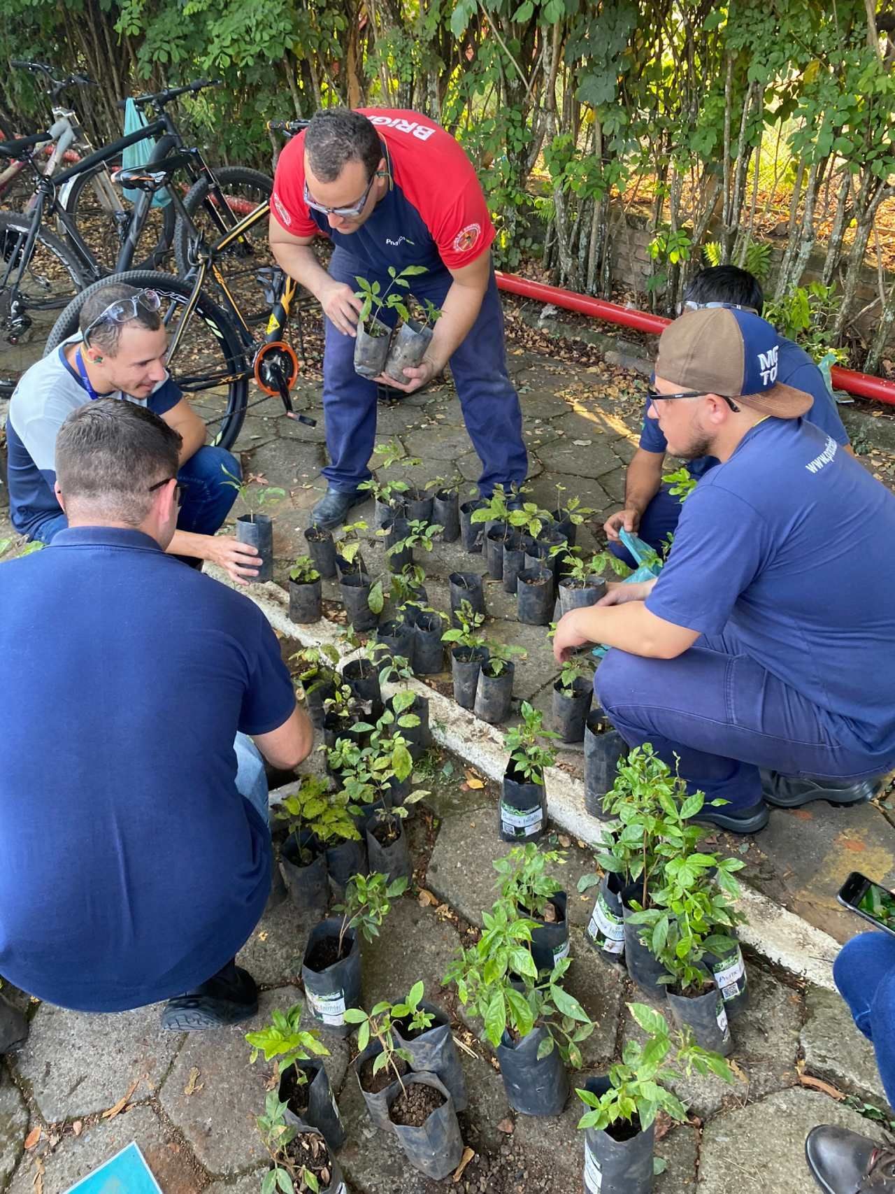 Um grupo de homens está plantando plantas em um jardim.