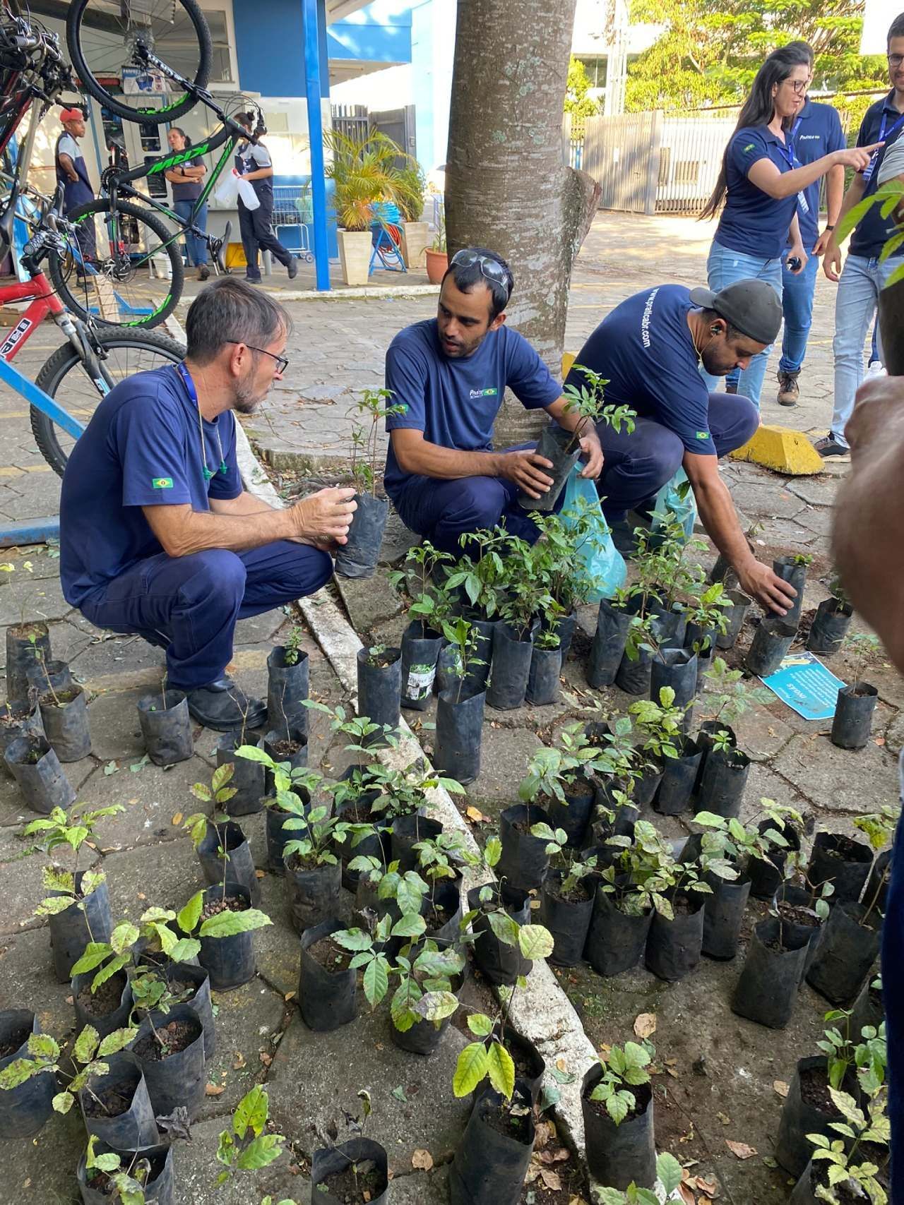 Um grupo de pessoas está ajoelhado em frente a uma pilha de plantas em vasos.