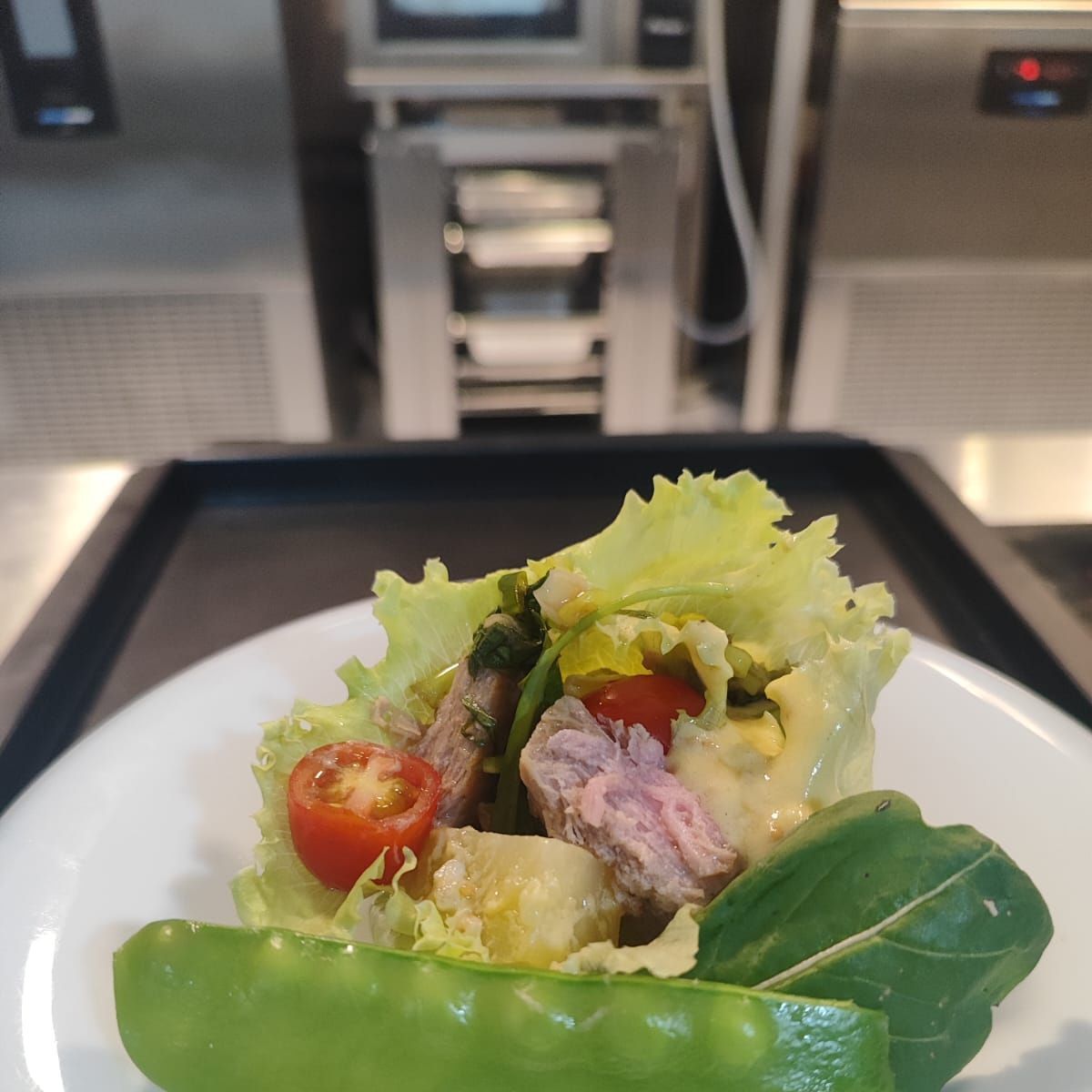 Um close de uma salada em um prato em uma bandeja