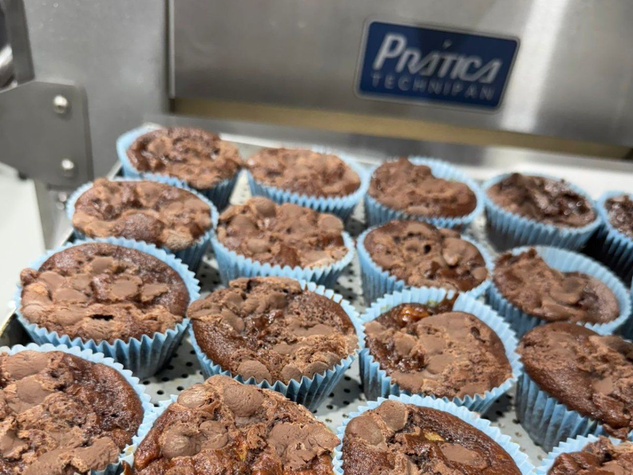 Um monte de cupcakes de chocolate em embalagens azuis estão em uma bandeja