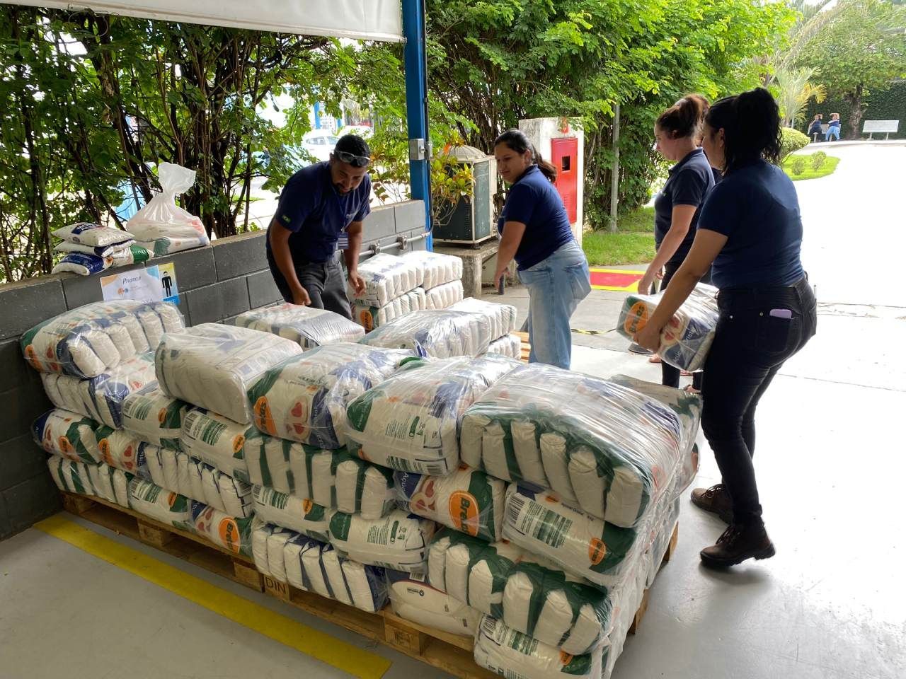 Um grupo de pessoas está empilhando sacos de arroz em um palete.