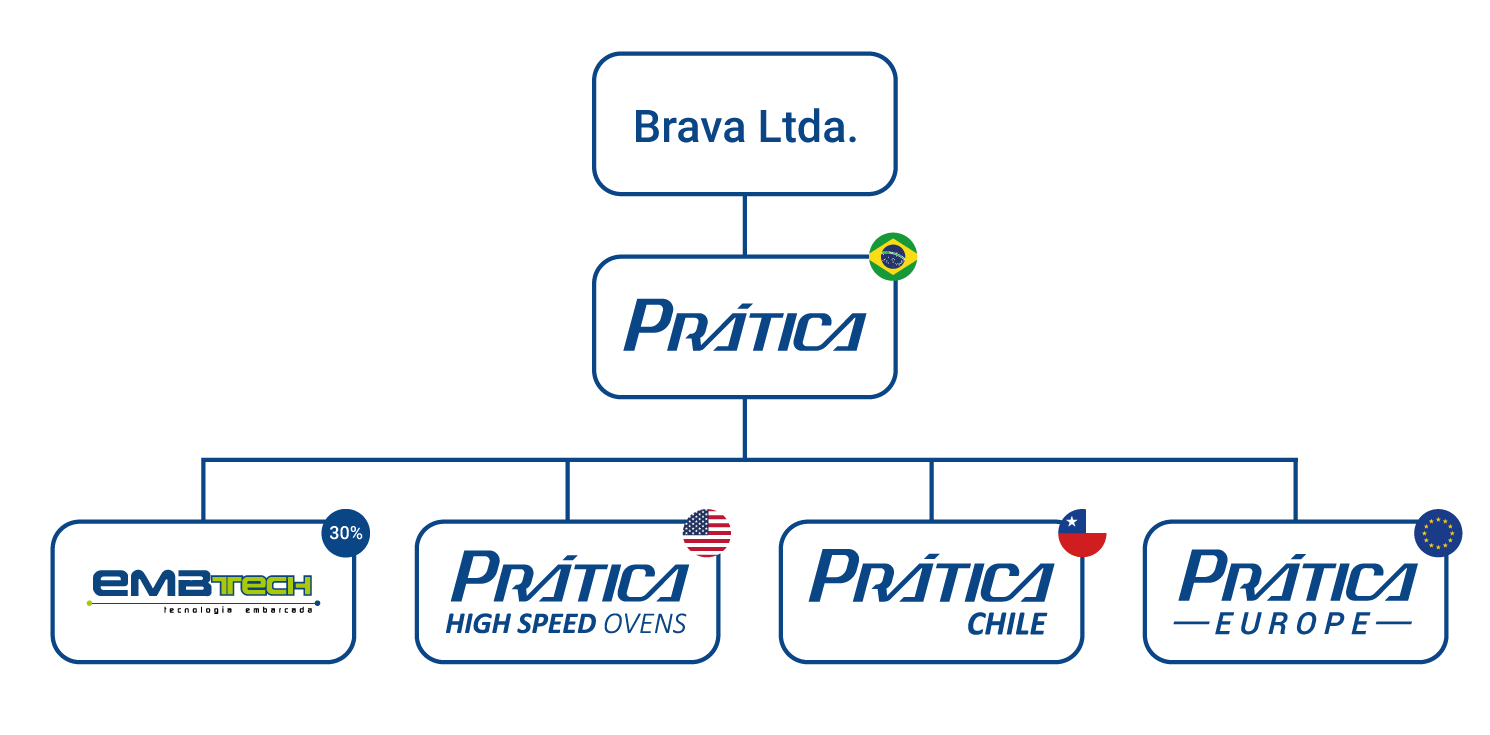 Um diagrama mostrando as filiais da brava ltda