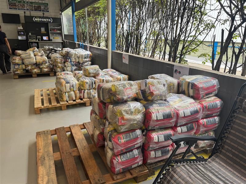 Paletes de pacotes de alimentos embalados dentro de um prédio.