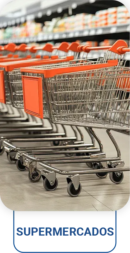 Uma fileira de carrinhos de compras estão alinhados em um supermercado.