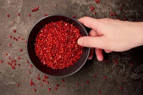 Mão segurando uma tigela de grãos de pimenta rosa sobre uma superfície de pedra cinza.