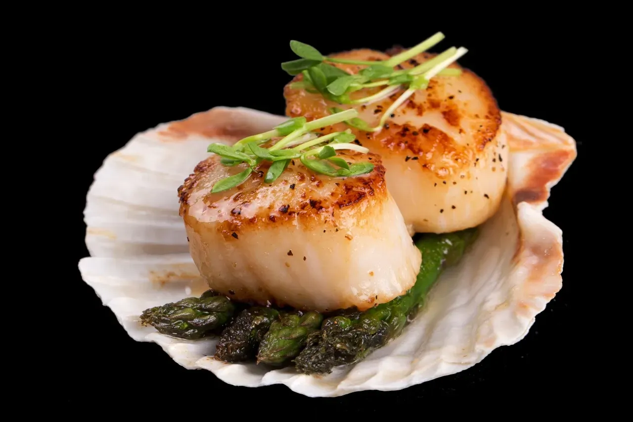 Vieiras grelhadas sobre aspargos, servidas em uma concha. Decoradas com microverdes, em um fundo preto.