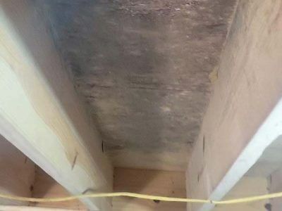 Moldy wood ceiling between wooden beams.