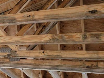 Wooden rafters in a construction framing, showing dark blue-gray stains, possibly mold or moisture damage.