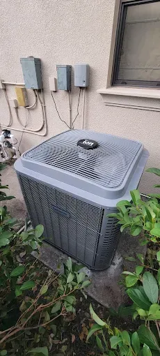 An outdoor air conditioning unit next to a building wall with electrical boxes and some foliage.