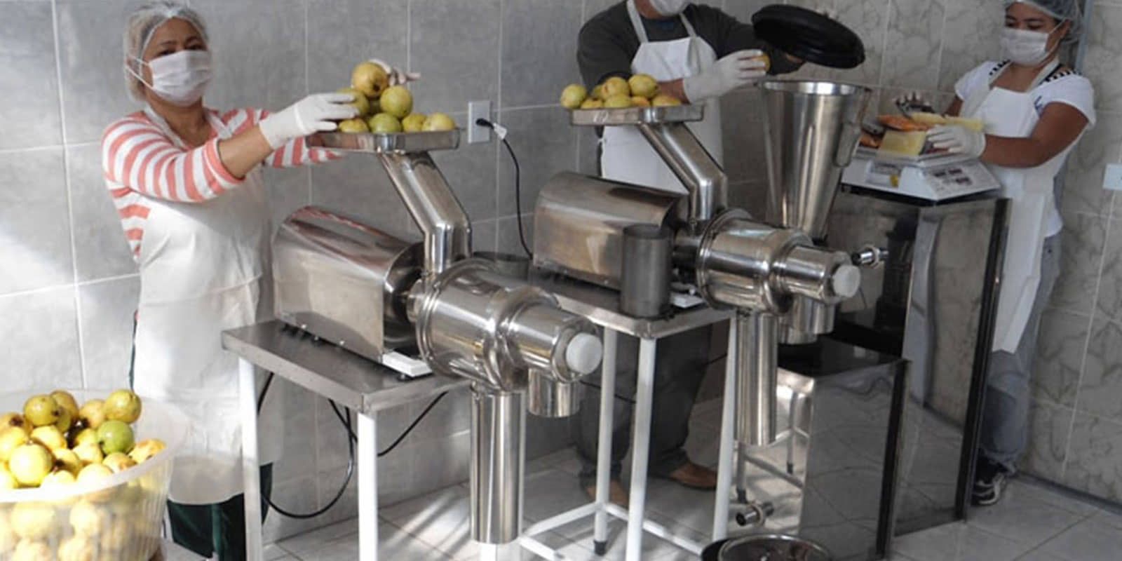 Artefactos de Cobre y Acero Inoxidable López - Despulpadora de fruta