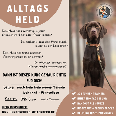 Ein Plakat mit einem Hund an der Leine, auf dem steht: „Alltags held“